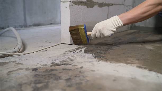 SJ Waterproofing Pros Basement Waterproofing coverage map for Mayer, MN and surrounding area